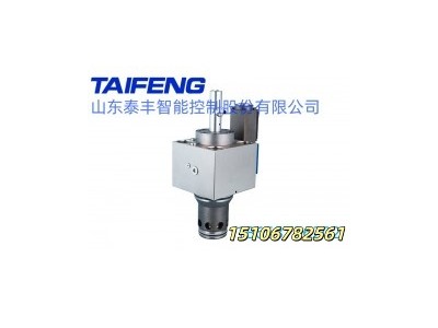 山东泰丰供应双主动型比例二通插装阀