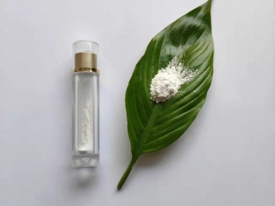 锂电池隔膜涂层剂 高纯纳米三氧化二铝 高纯纳米氧化铝