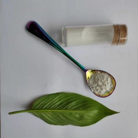 纳米氧化铝 电池隔膜用活化剂高纯三氧化二铝 CY-L500G